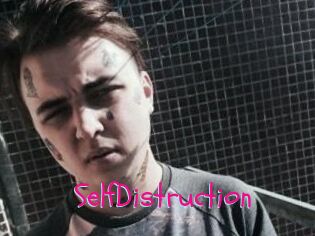 SelfDistruction