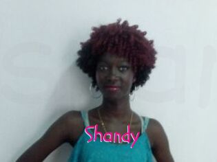 Shandy