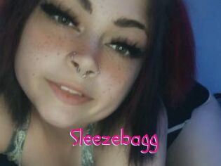 Sleezebagg