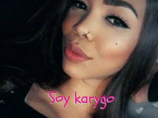 Soy_karygo