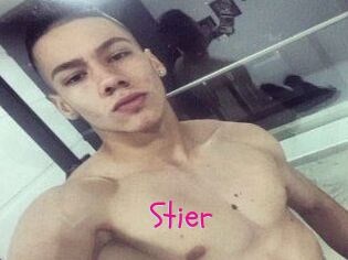 Stier