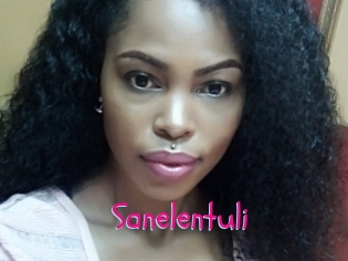 Sanelentuli