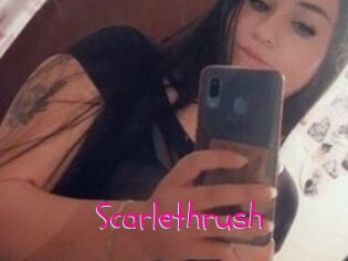 Scarlethrush