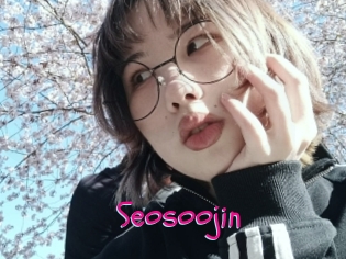 Seosoojin