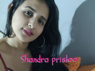 Shandra_prisloo