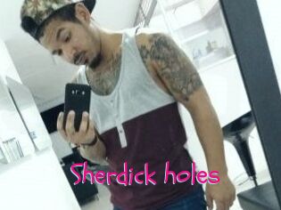 Sherdick_holes