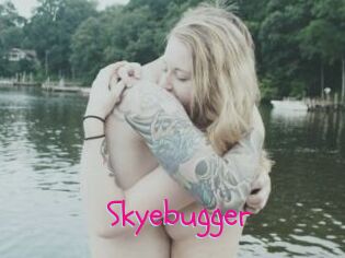 Skyebugger