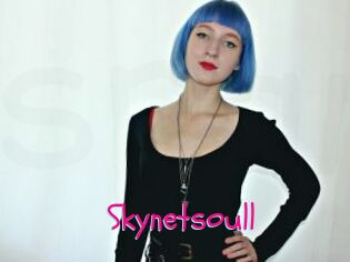 Skynetsoull