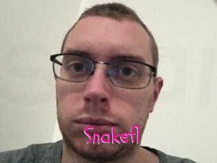Snakefl