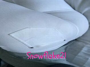 Snowflake21