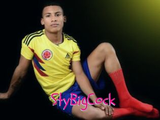StyBigCock