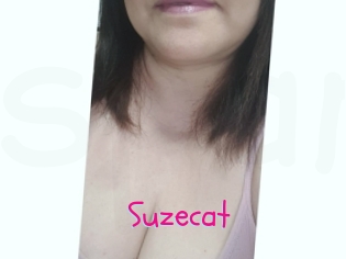 Suzecat