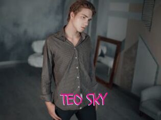 TEO_SKY