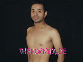 THEHORNYDUDE