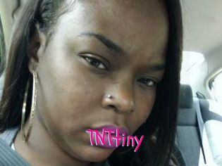 T_N_Ttiny