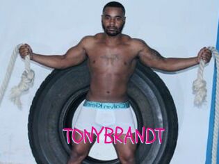 TONYBRANDT
