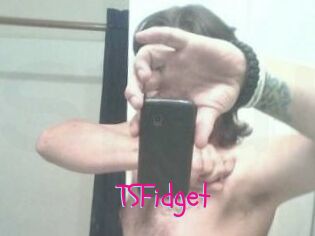 TSFidget