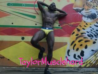 TaylorMusclehard