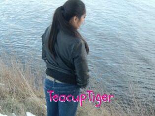 TeacupTiger