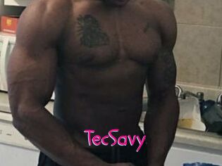 TecSavy