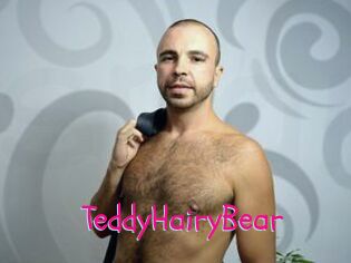 TeddyHairyBear
