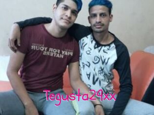 Tegusta29xx