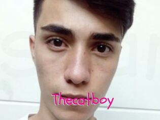 Thecatboy