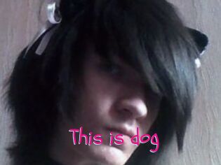 This_is_dog