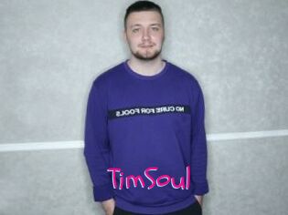 TimSoul