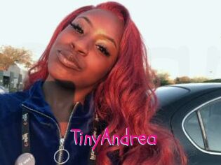 TinyAndrea