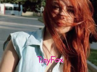 TinyFox