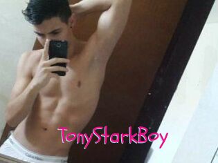 TonyStarkBoy