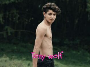 Tony_wolf