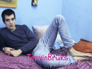 TorvinBruks