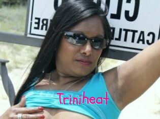 Triniheat
