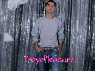 TroyePleasure Spanking Sarah