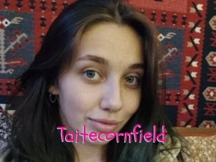 Taitecornfield