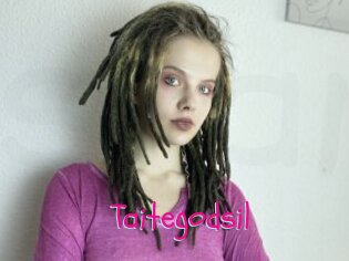 Taitegodsil