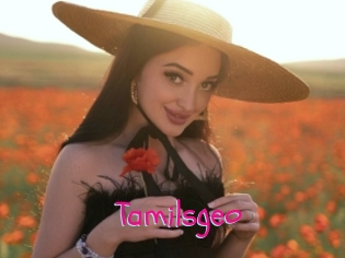 Tamilsgeo