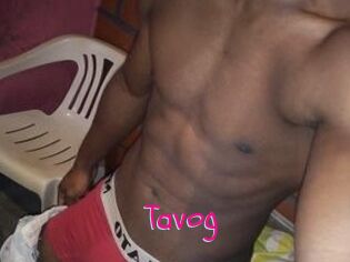 Tavog