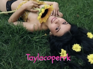 Taylacoperrk