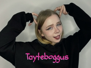 Tayteboggus