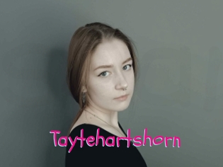 Taytehartshorn