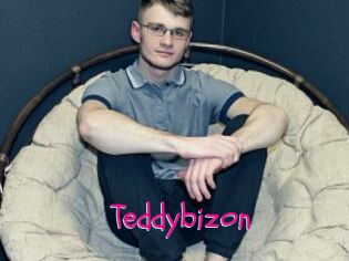Teddybizon