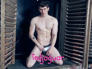 Tedjaguar