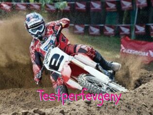 Testperfevgeny
