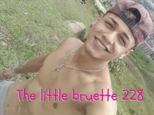 The_little_bruette_228