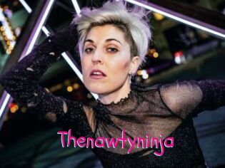 Thenawtyninja