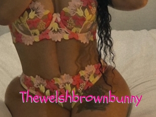thewelshbrownbunny Spanking Sarah