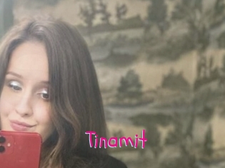 Tinamit